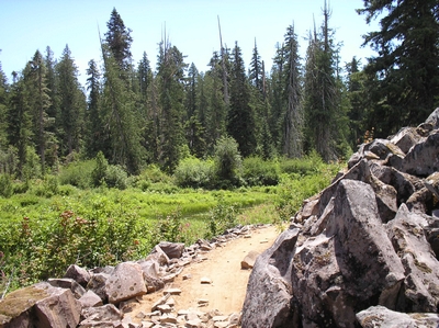 Almost missed the turn on Falls Creek Trail